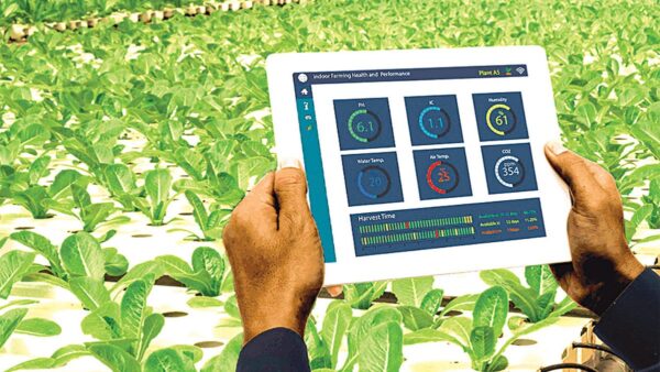 Agricultural Value Chain Course